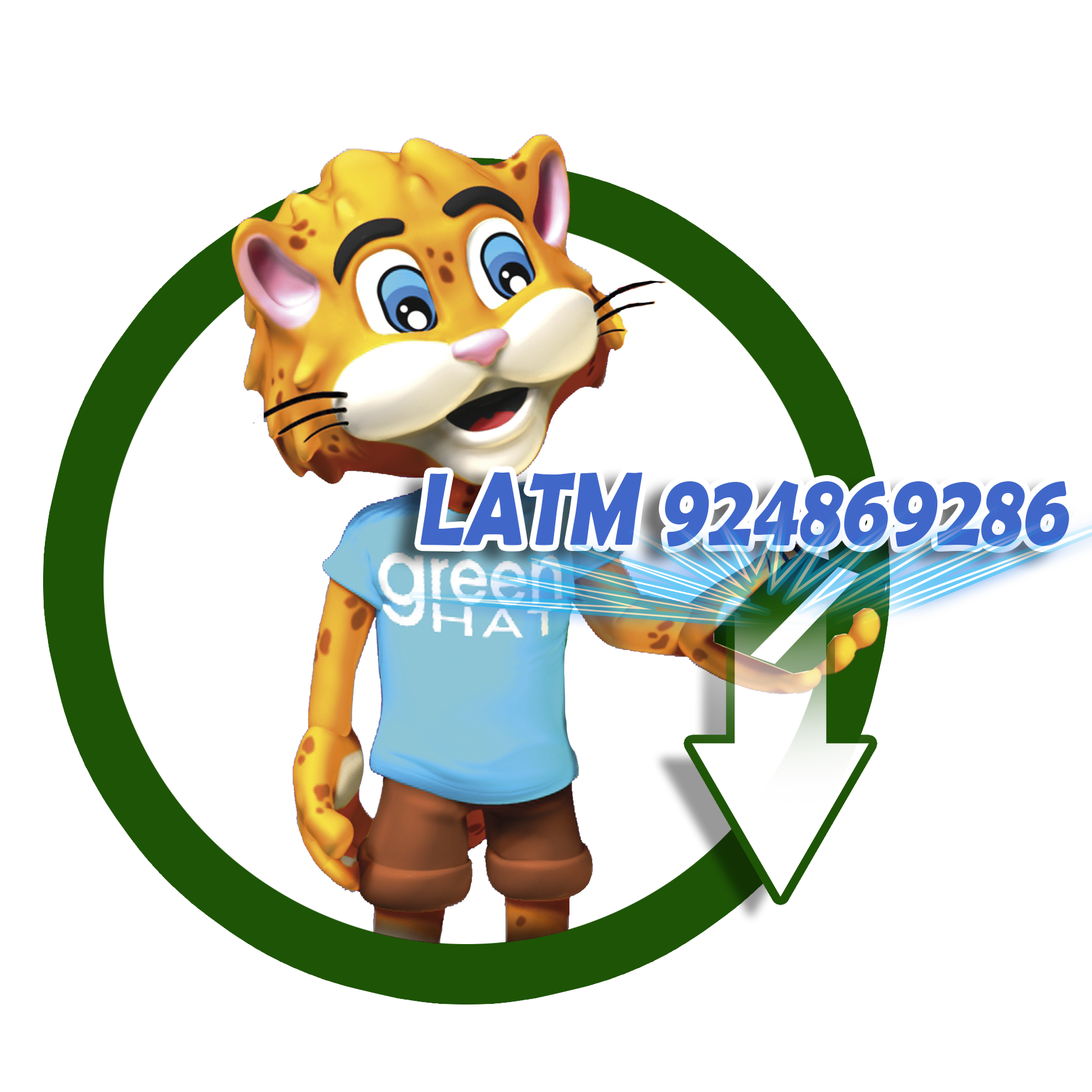 vector-greenhat-20